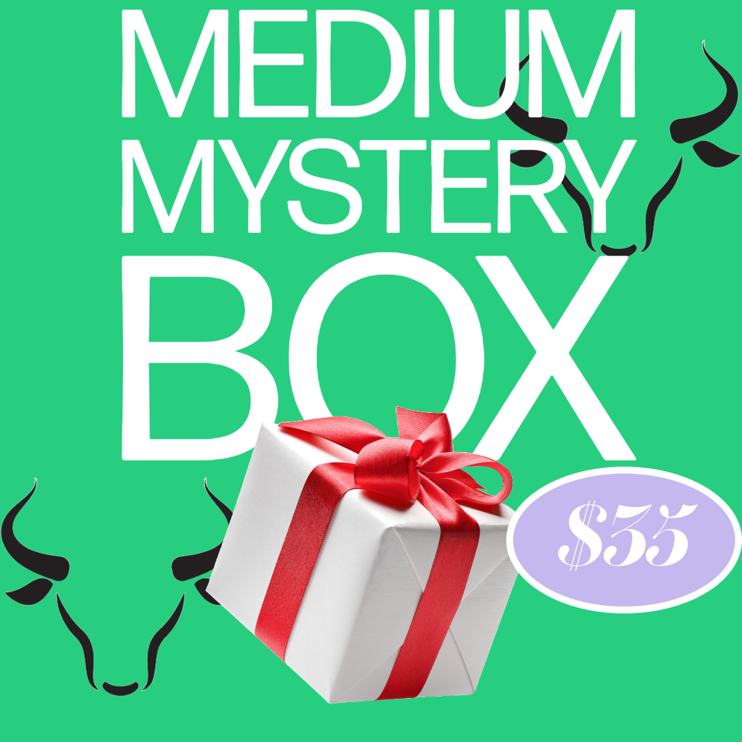 Medium Mystery Holiday Box