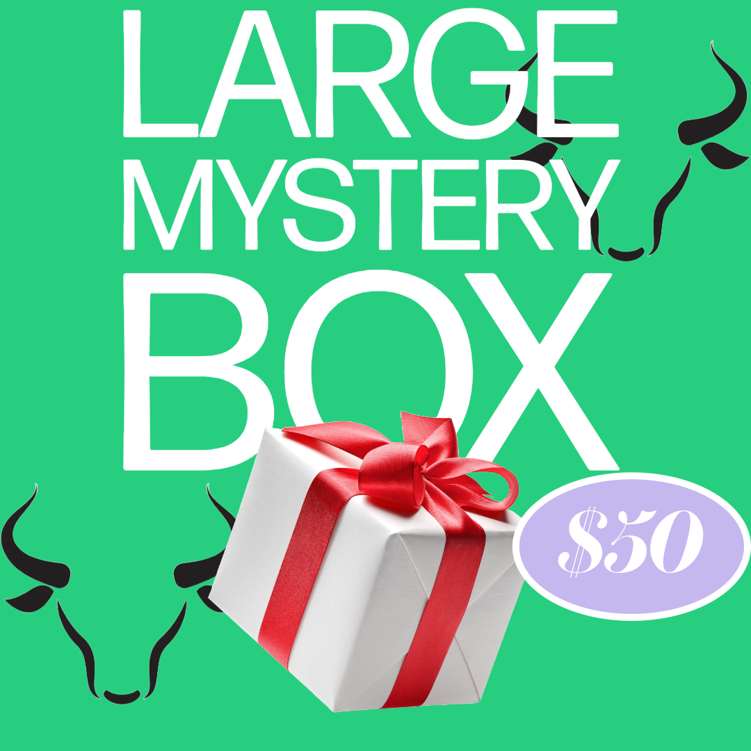 Large Mystery Holiday Box